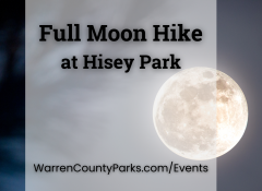 full moon in the night sky